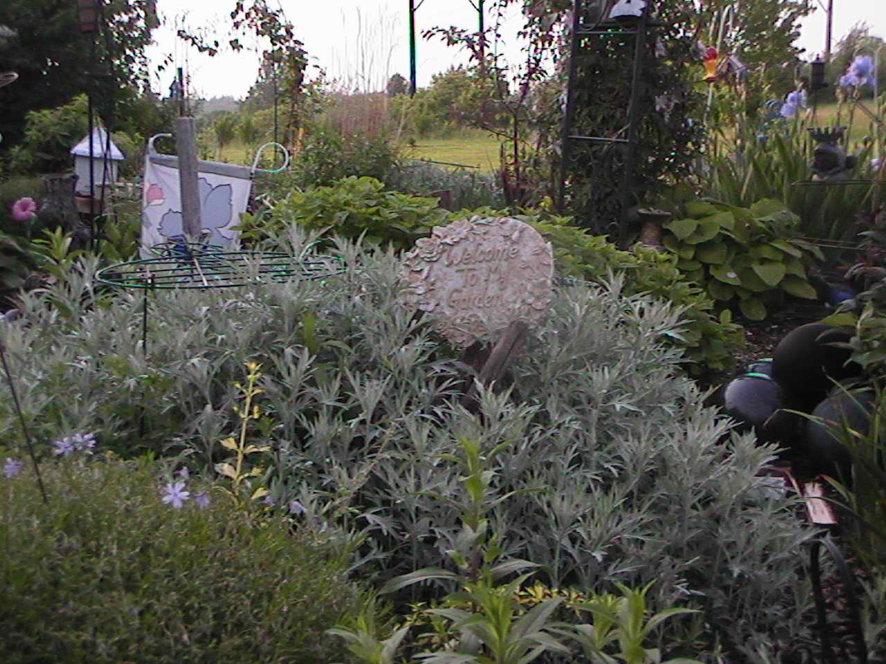 WelcomeToMyGarden.jpg